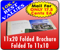 11x20 Bifold EDDM HIGH VOLUME