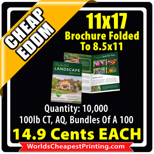 11x17 Folded Brochure Direct Mail